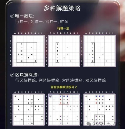 (骨灰级数独教程视频)深度思考，追寻极致：探索骨灰级数独的奥秘