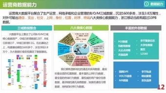 新奥最精准的资料|全面数据解释落实_3DM0.187